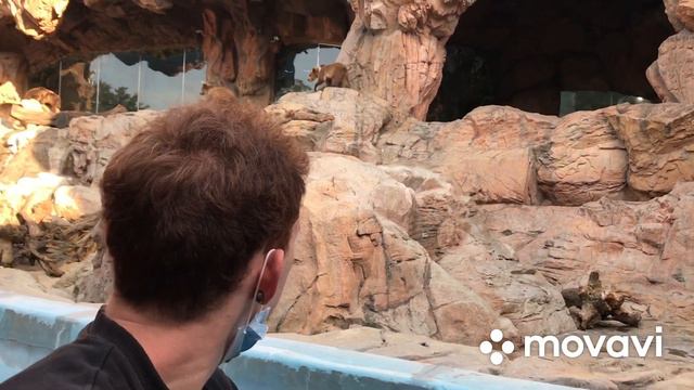 КИТАЙ. The End COVID19. Chimelong Ocean Kingdom