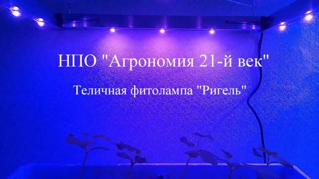 Фитолампа для флоры «Ригель», мощностью от 30 до 300 Вт смотреть онлайн