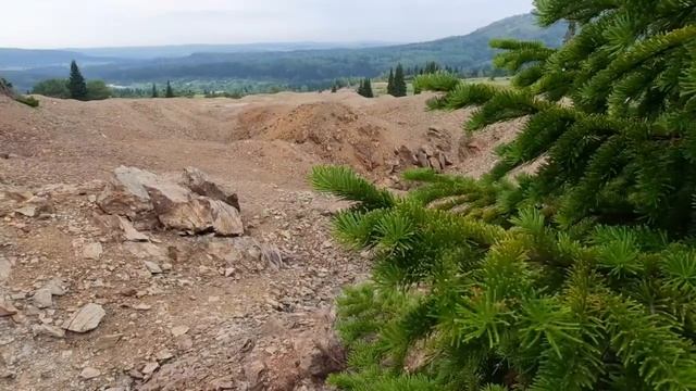 Природа Алтая. Лазурка. Змеиногорский район. смотреть онлайн