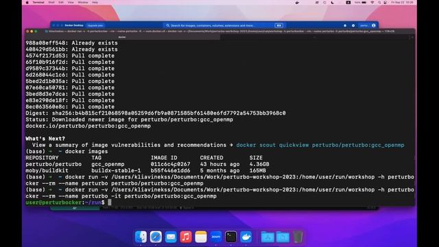 Hands-on 1: Using Perturbo via Docker. Testsuite. смотреть онлайн