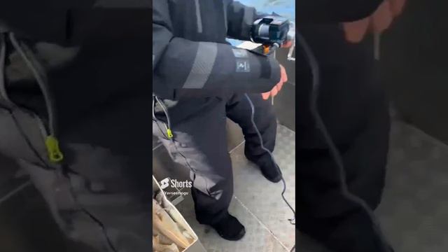 #Shorts   #Рыбалка   # Треска