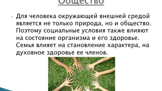 Влияние окружающей среды на здоровье человека Исмаилов Павел смотреть онлайн
