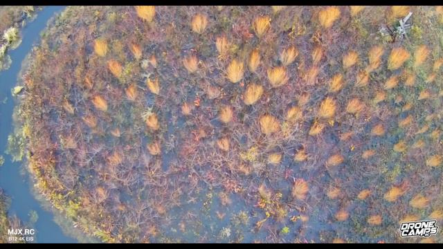 $175 low cost 4K Drone - MJX Bugs 12 EIS is not bad for your first drone! 🏆 смотреть онлайн