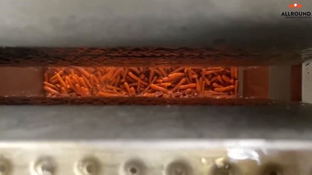 Гидрокулер для быстрого охлаждения овощей от компании Allround смотреть онлайн