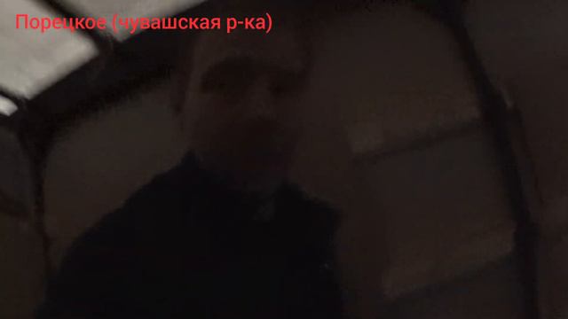 По посёлкам тоже можно работать🙋🏻♂️... Лиса ручная🦊... дальнобой по России 💪... смотреть онлайн