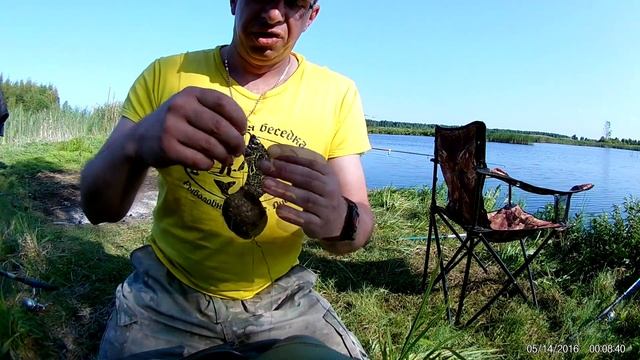 ЛОВЛЯ ЛИНЯ . РЫБАЛКА В БЕЛАРУСИ.Лидские разливы. смотреть онлайн