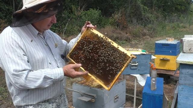 ОПТИМАЛЬНОЕ ПОДРАМОЧНОЕ ПРОСТРАНСТВО (летом) смотреть онлайн