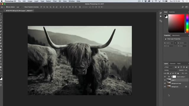 How to make your PHOTOS look CINEMATIC FAST using LUTS in Photoshop! смотреть онлайн