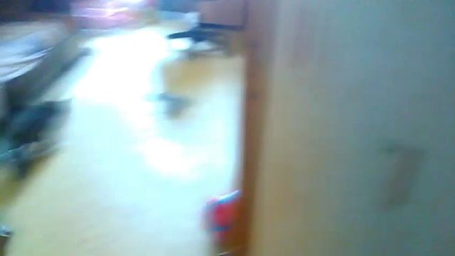 Жизнь кошки.Как испугать кошку и как помериться с ней?Вот так! смотреть онлайн