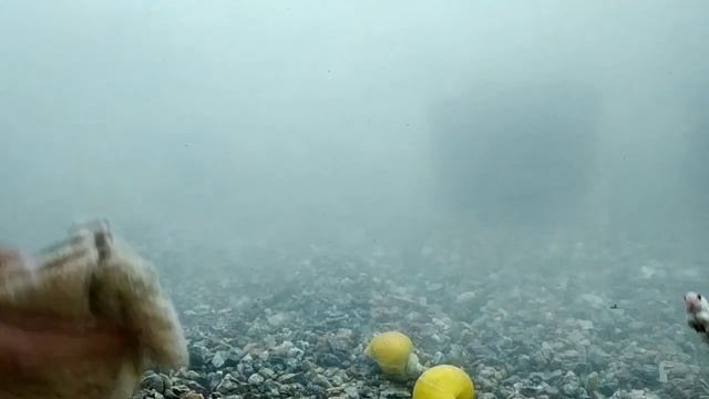 ГРУНТ для аквариума своими руками смотреть онлайн