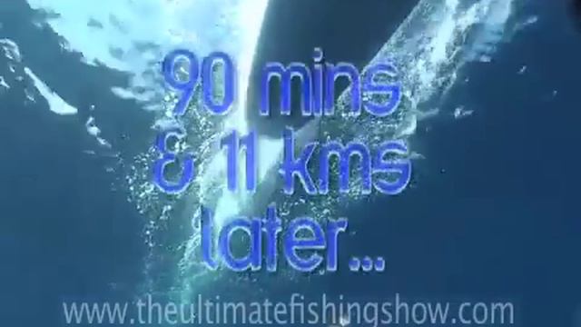 Marlin From A Surfboard!