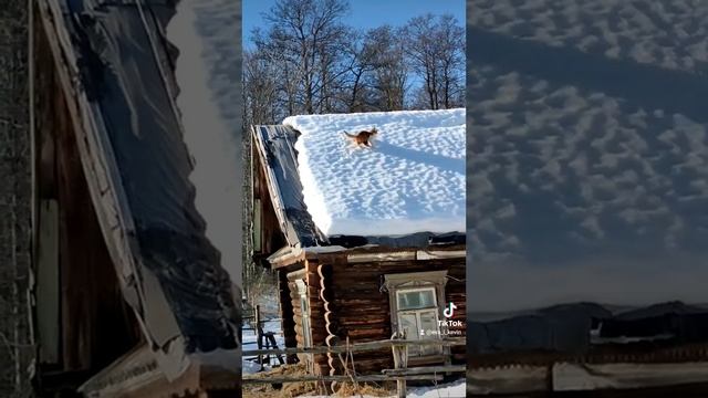 как в сказке "Серебряное копытце" смотреть онлайн