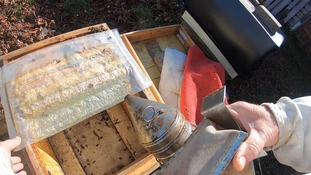 Февраль как определить что в семье нет матки не подходя к улью ближе 5 метров смотреть онлайн