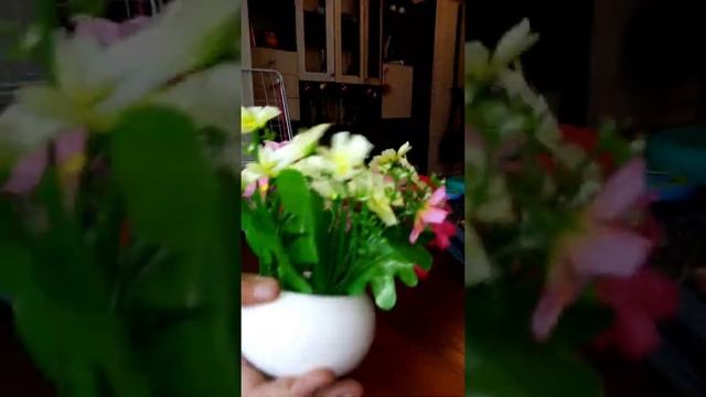 Короче говоря сломал очки в школе (шок накозали) (устроились на роботу) смотреть онлайн