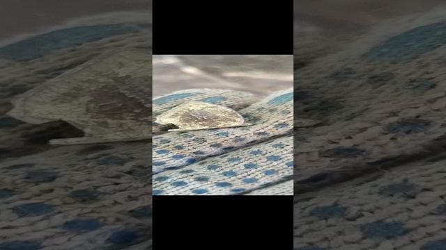 Нашел значок ВЛКСМ