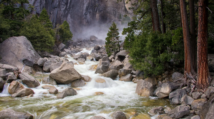 Успокаивающие Звуки. Журчание Реки И Щебетание Птиц, Которые Усыпят Вас За 10 Минут смотреть онлайн
