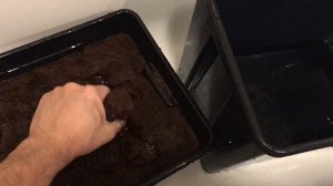 КАК ПРИГОТОВИТЬ КОКОСОВЫЙ СУБСТРАТ - Кокосовый субстрат в домашних условиях