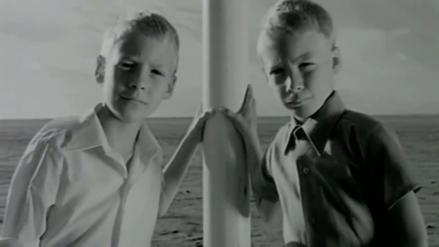 Black Wonderful Life HD Widescreen 16 9