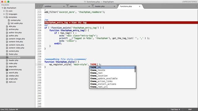 Lập trình theme WordPress 14 Chèn tập tin style css смотреть онлайн