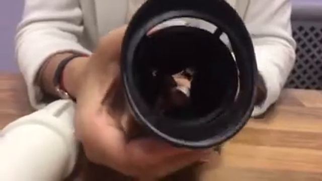 Satisfaer Men смотреть онлайн