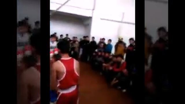 Он двойник брюс ли смотреть онлайн