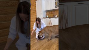 Ooops я думала его не спасти!