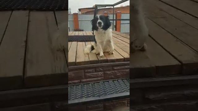 Привет от Дины смотреть онлайн