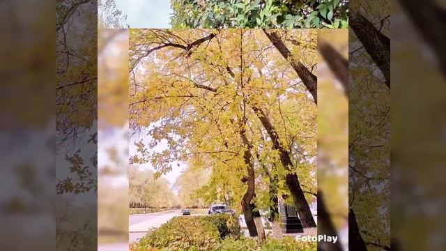Золотая осень в Караганде. смотреть онлайн
