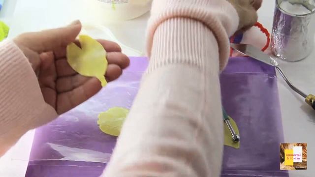 Видео-урок Авторская работа "Ирис бородатый" 1 часть. Мастер Чулпан Хисмеева смотреть онлайн