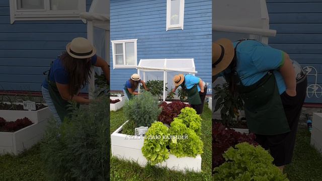 УСКОРЯЕМ СОЗРЕВАНИЕ ПЕРЦЕВ смотреть онлайн