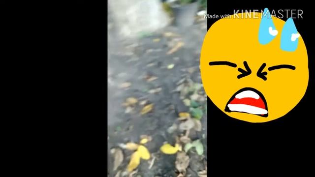 ИЗДЕВАЮСЬ НАД КУКЛАМИ !?! смотреть онлайн