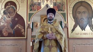 Как пройти экзамен - жизнь. В чем подвиг страстотерпцев Бориса и Глеба.Проповедь о.Димитрия 06.08.2