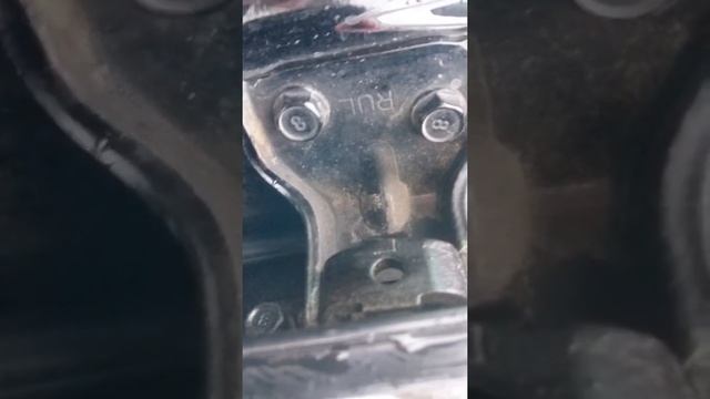 Проверка авто смотреть онлайн