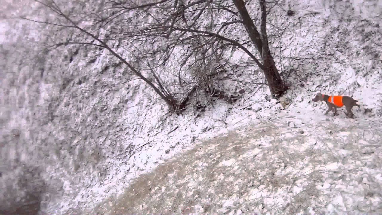 20 03 2016 смотреть онлайн
