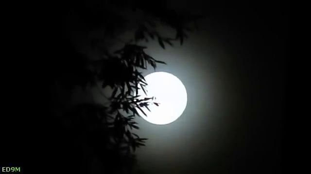 Moon in Moscow 27.06.2010. Zoom 70x смотреть онлайн