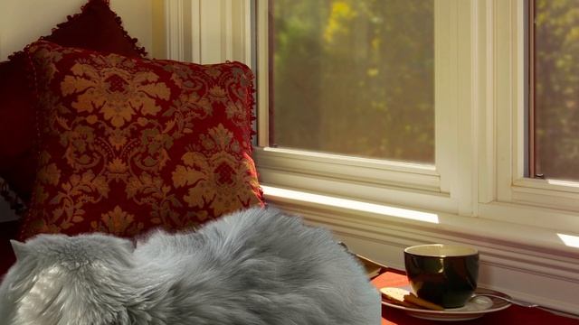 Звуки мурчания кота / шум мурлыканья для сна - 1 часовая версия - без разговоров - ASMR смотреть онлайн