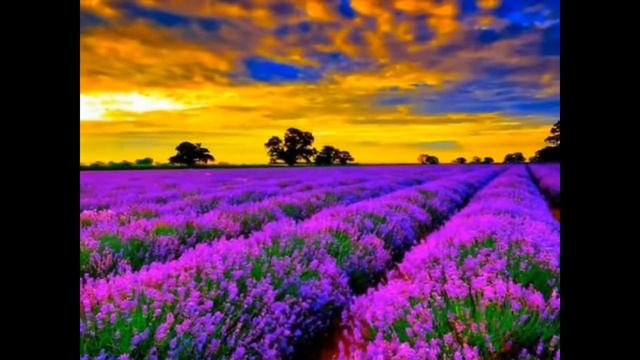 A Perte de Vue смотреть онлайн