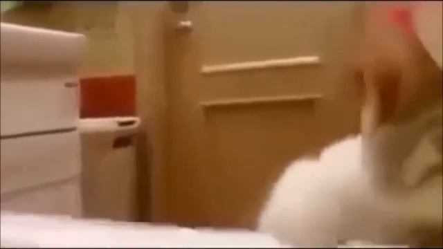 Самое опасное животное в мире смотреть онлайн