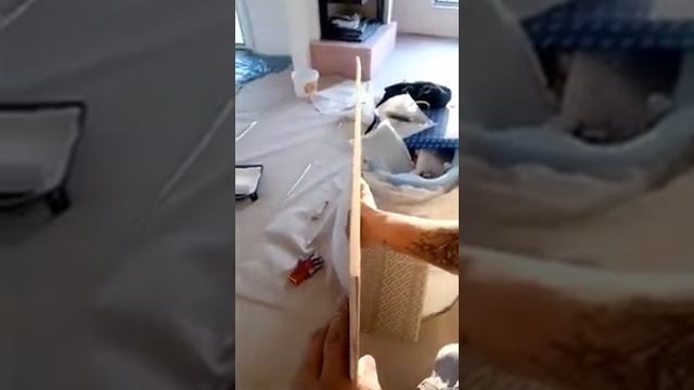 Дорогая плитка, змея) смотреть онлайн