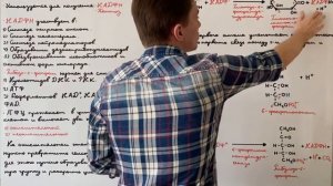 Значение пентозофосфатного пути для клетки. Окислительный этап