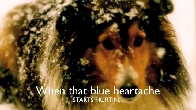 BLUE Blue Christmas. - Summerland BC..Canada (epjr)  Elvis Jr 1st 6 Videos (oldest)