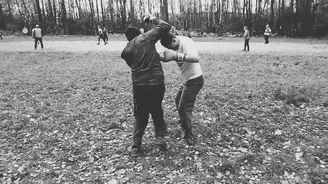 Помахались с утра, хлебом не корми дай им подраться. смотреть онлайн