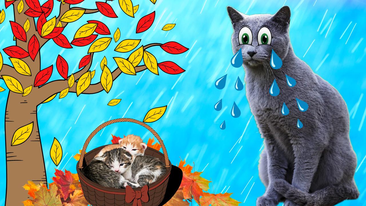 ПРОПАЛА БЕРЕМЕННАЯ КОШКА!!! Кто СПАСЁТ Ее и КОТЯТ?