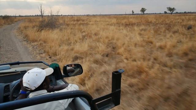 Shenton Safaris - Game Drive смотреть онлайн