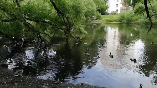 Clase de ruso . Nivel basico. "Nuestro estado de ánimo" смотреть онлайн