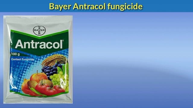 Antracol fungicide use in telugu | Propineb 75 Wp | Bayer antracol price смотреть онлайн