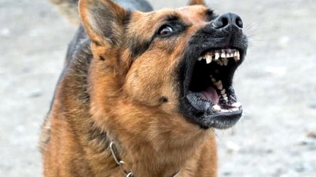 Мужчина блокирует женщину у банкомата, не подозревая, что скоро с ним случится... смотреть онлайн