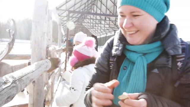 Оленья ферма смотреть онлайн