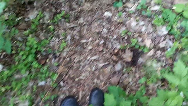 13 июня 2022 г. С днем Святого Духа. Приехали на рыбалку. смотреть онлайн