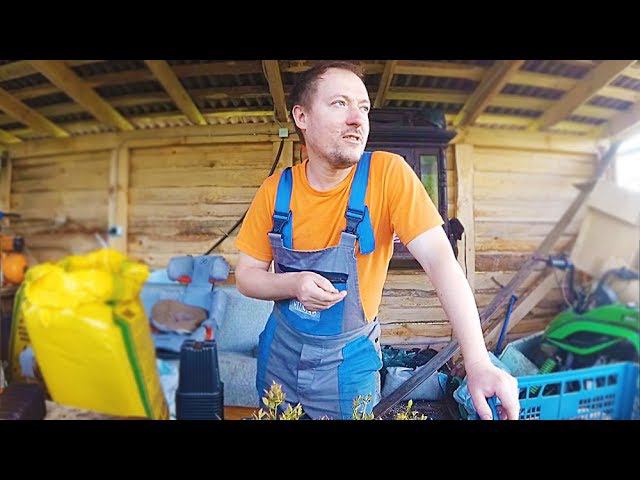 Выбирай не дом, а место! Отношения с соседями в деревне. Как избежать проблем? смотреть онлайн